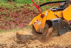 Best Lawn Grading and Leveling  in Prces Lakes, IN