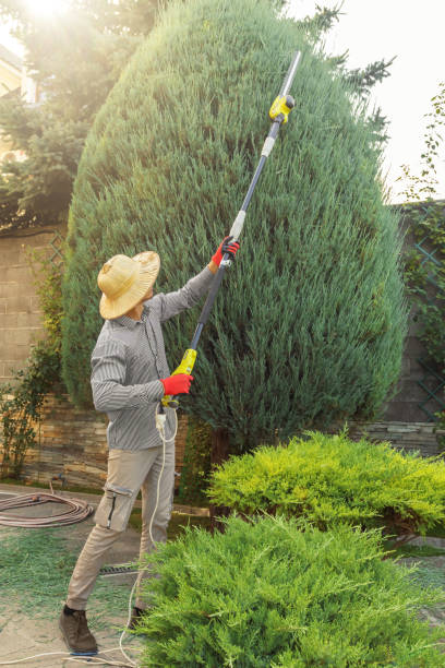 Best Emergency Tree Removal  in Prces Lakes, IN